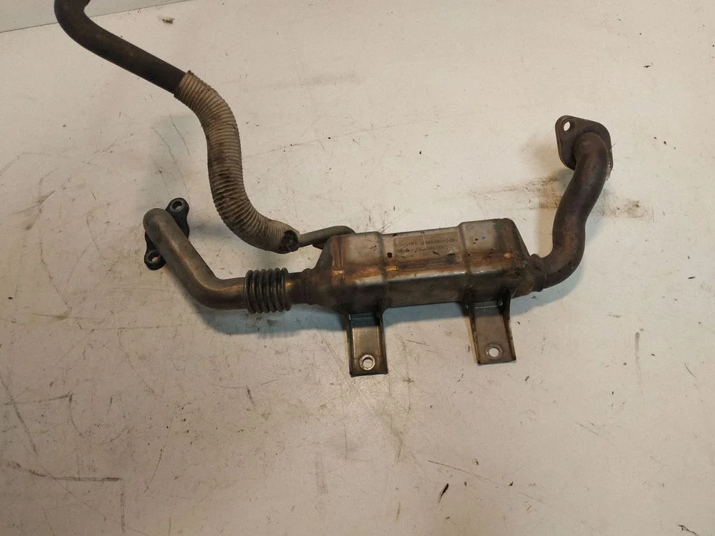 EGR-klapi jahuti 256800R01000