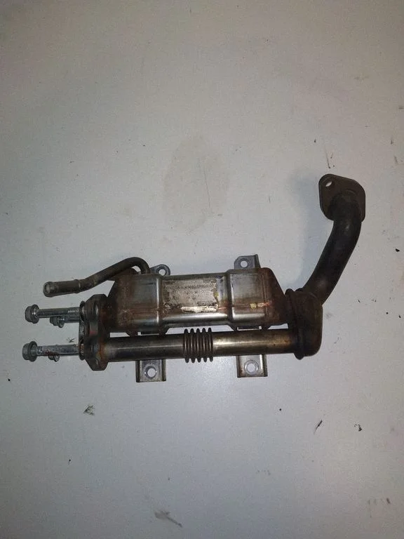 EGR-klapi jahuti 256800R02000