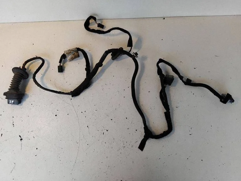 Rear door wiring loom
