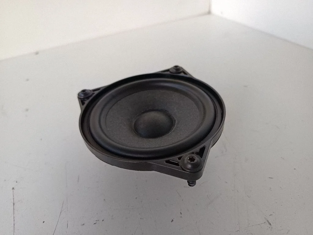 Panel speaker – Tesla Model 3 (2017-)