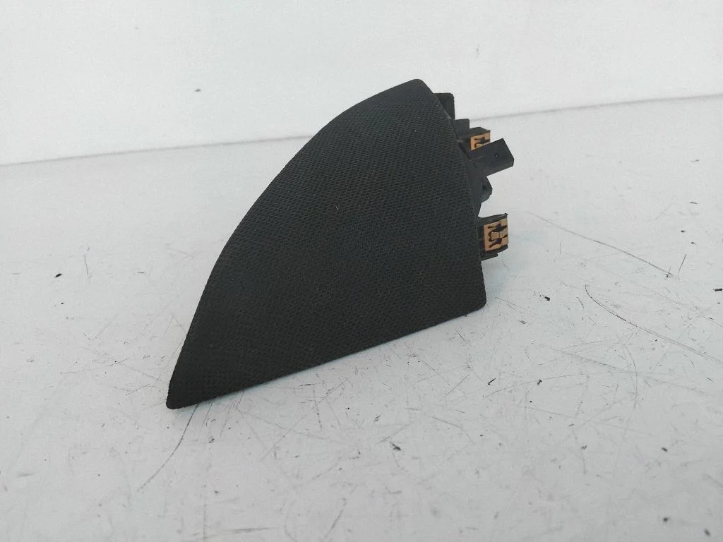 Kõrgsageduslik kõlar(id) esiustes – Tesla Model 3 (2017-)