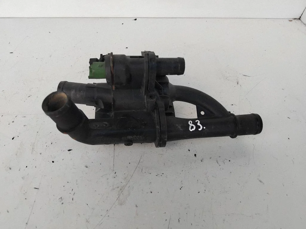 Thermostat/thermostat housing 9670253780