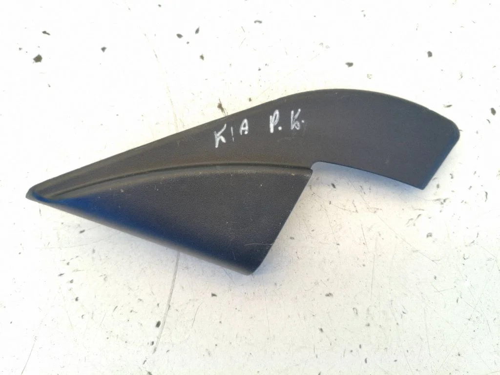 Plastic wing mirror trim cover 876513W010