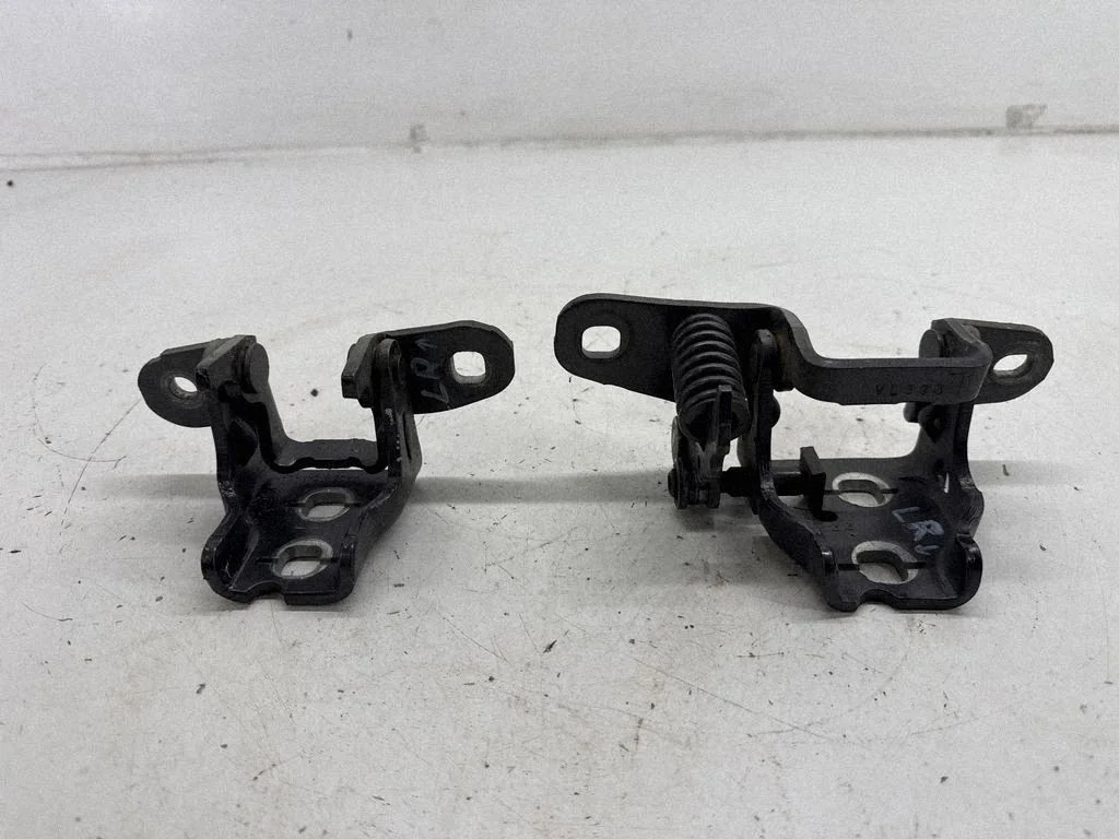Tagaukse hingede komplekt