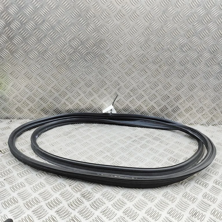Loading door rubber seal (on body) 12007440