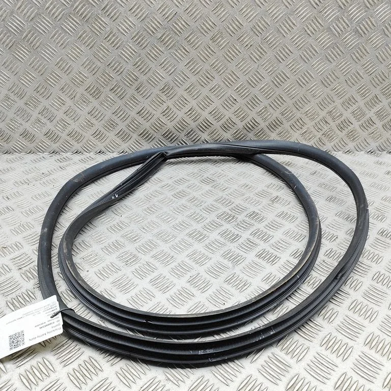Rubber seal front coupe door 10907153