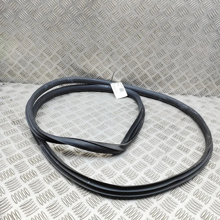 Rubber seal rear door 10907153
