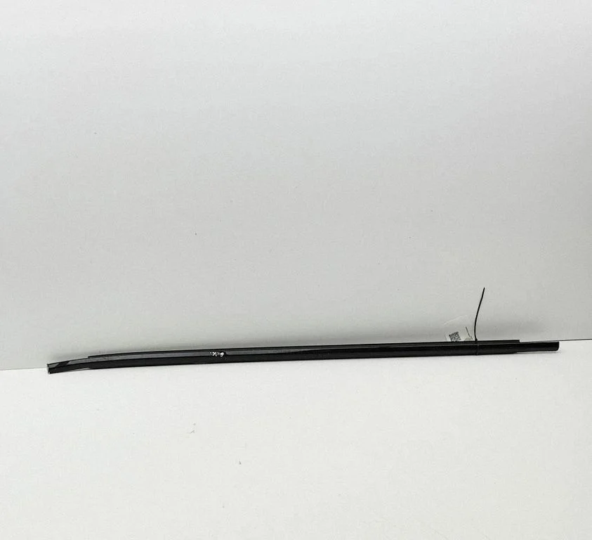 Rear door glass trim molding 11502597