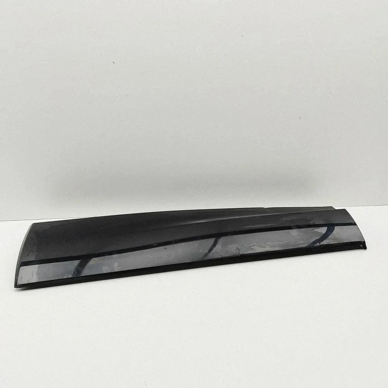 Rear door trim (molding) 11135110