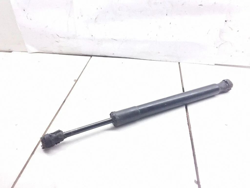 Tailgate/trunk strut/damper