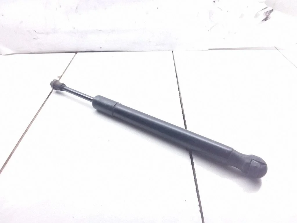 Tailgate/trunk strut/damper
