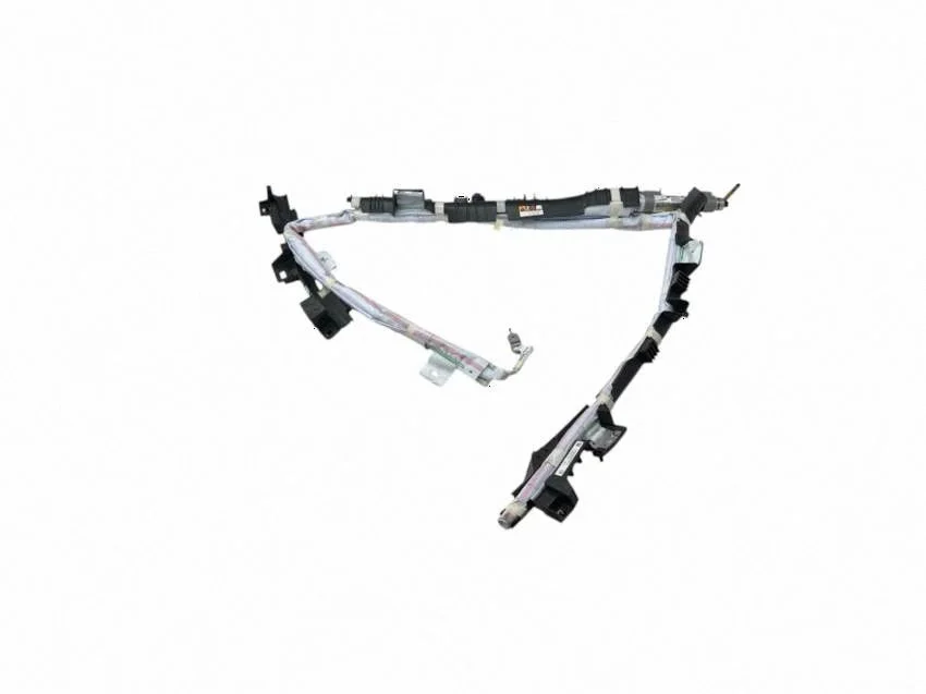 Roof airbag – Lexus ES VII XZ10 (2018-2021)