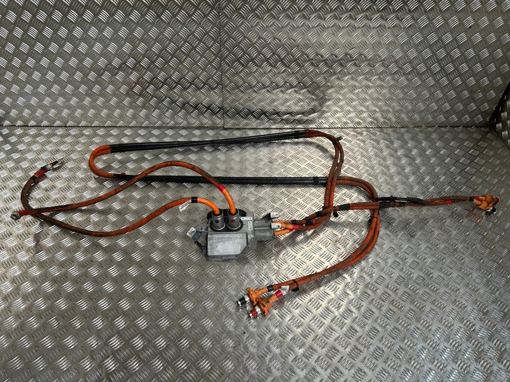 Brake wiring harness 109700010E