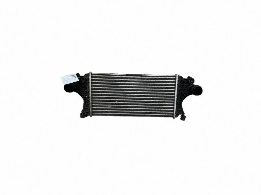 Intercooler radiator A0995002900
