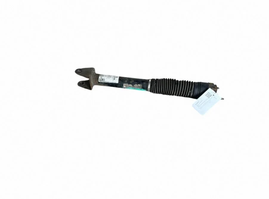 Rear shock absorber/damper A1663261500
