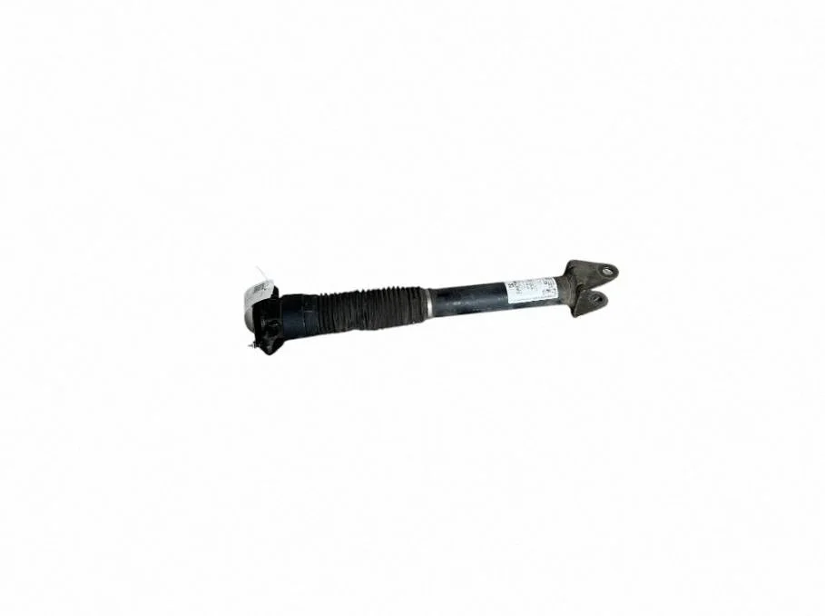 Rear shock absorber/damper A1663261500