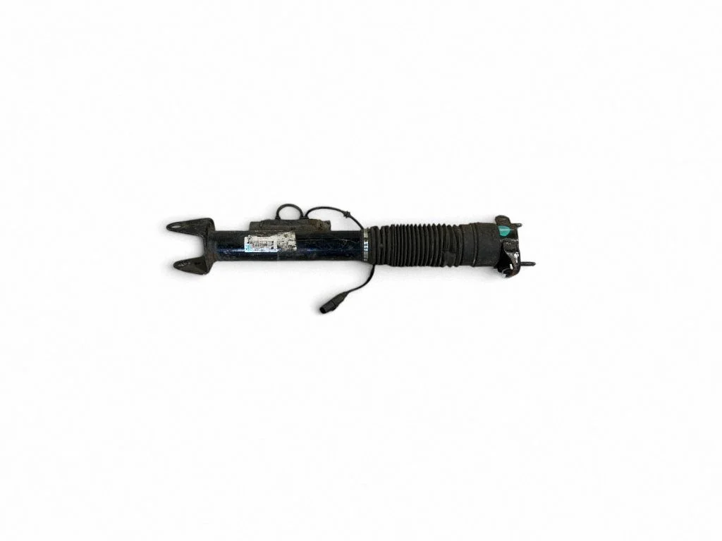 Rear shock absorber/damper A1663263100