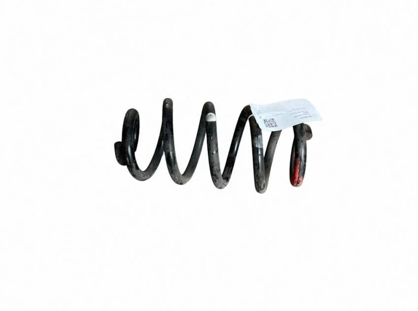 Rear coil spring