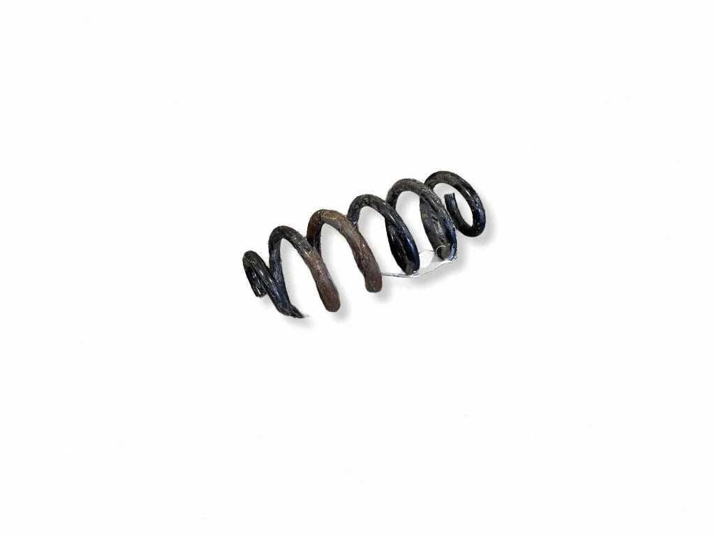 Rear coil spring