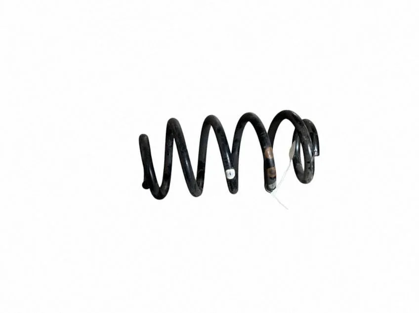 Rear coil spring