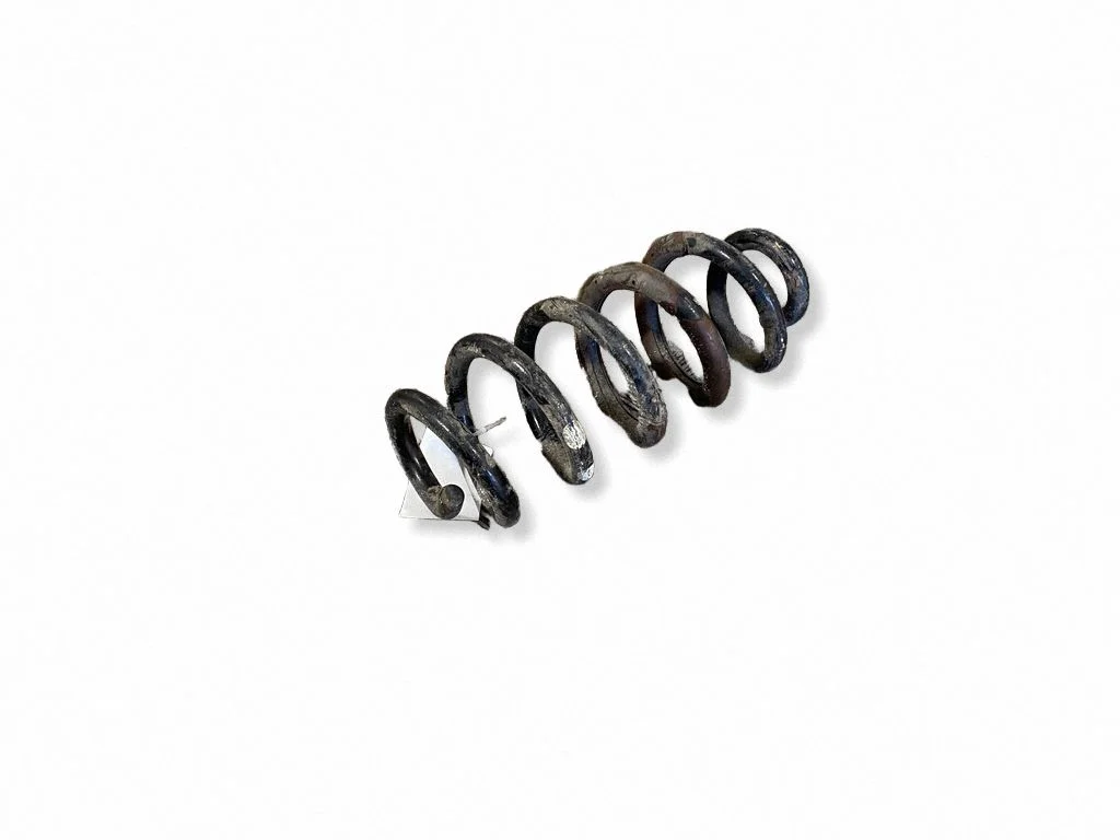 Rear coil spring