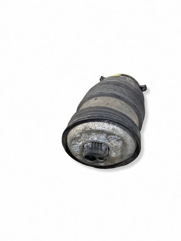 Tagumine õhkvedrustuse padi A2133280100