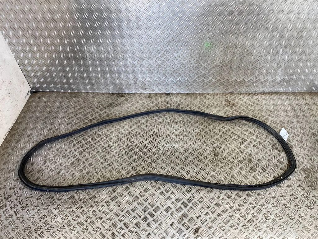 Loading door rubber seal (on body) 7397317