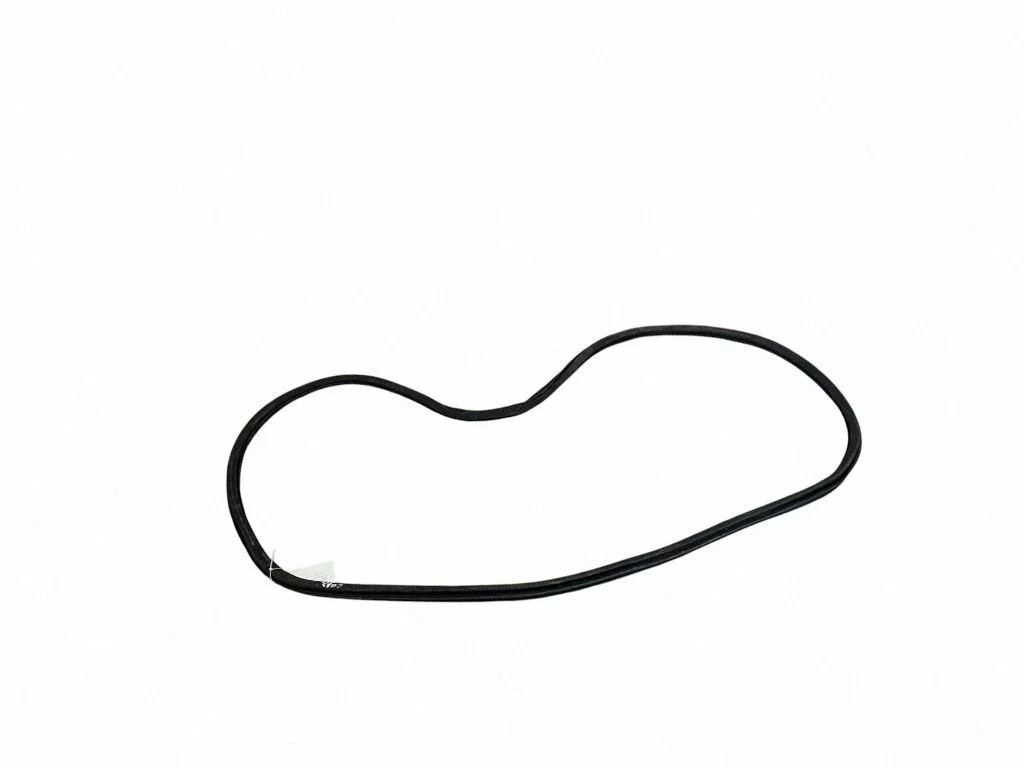 Front door rubber seal A2476920000