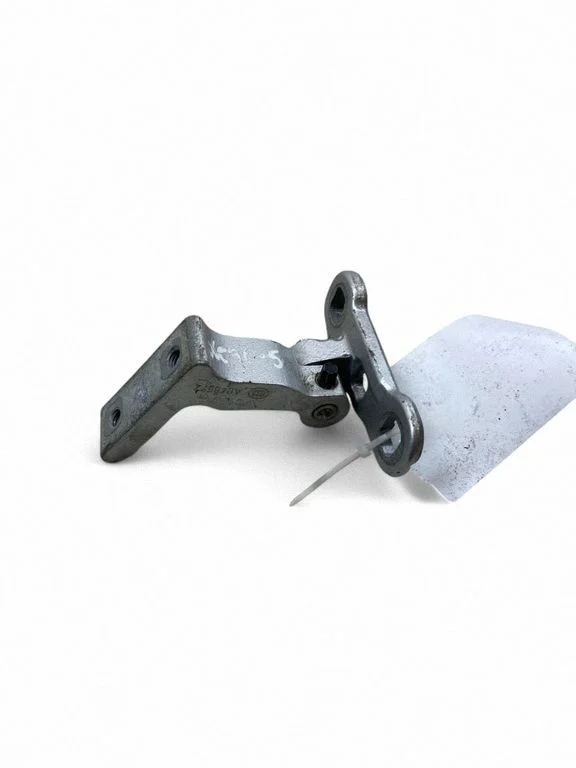 Rear door lower hinge 31424590