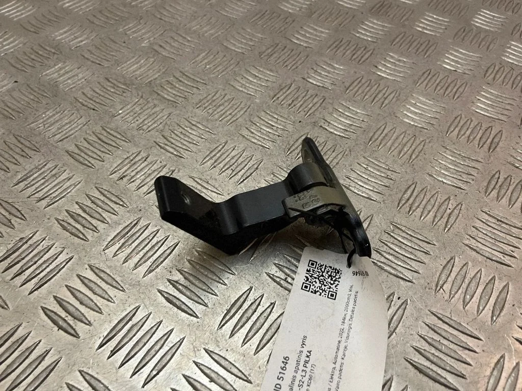 Rear door lower hinge 31424590