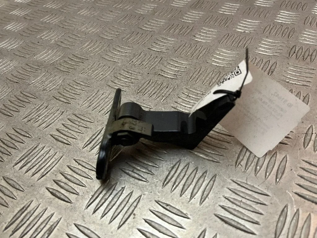 Rear door lower hinge 31424589