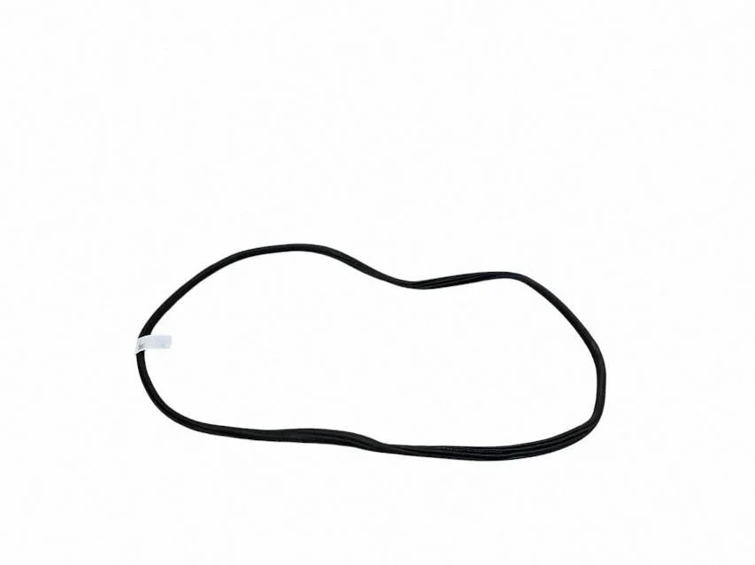 Rear door rubber seal (on body) 7393449