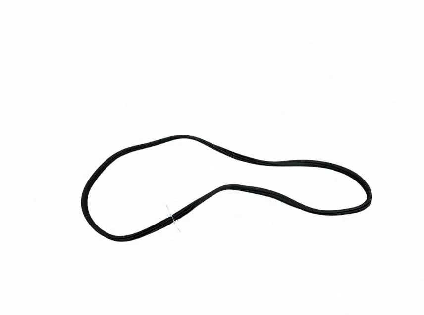 Rear door rubber seal (on body) 7393449