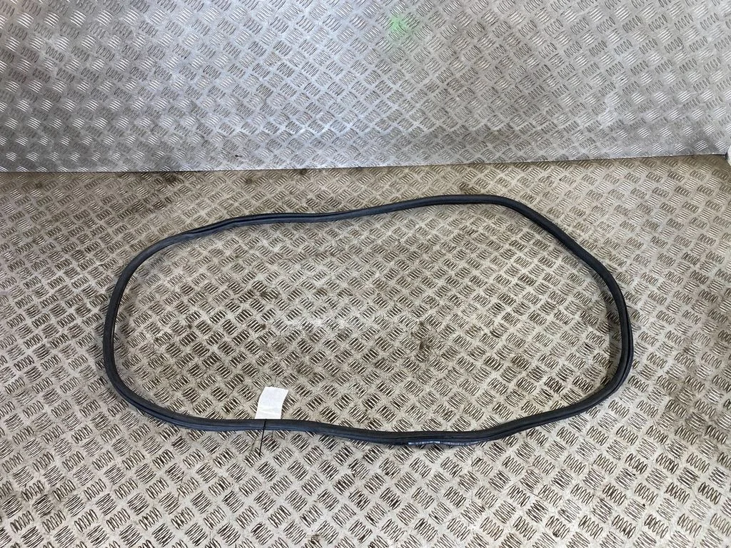 Rear door rubber seal (on body) 7393449
