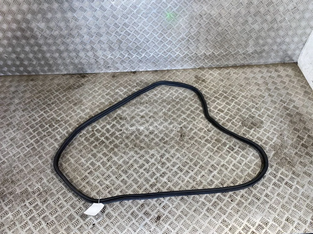 Rear door rubber seal (on body) 7393449