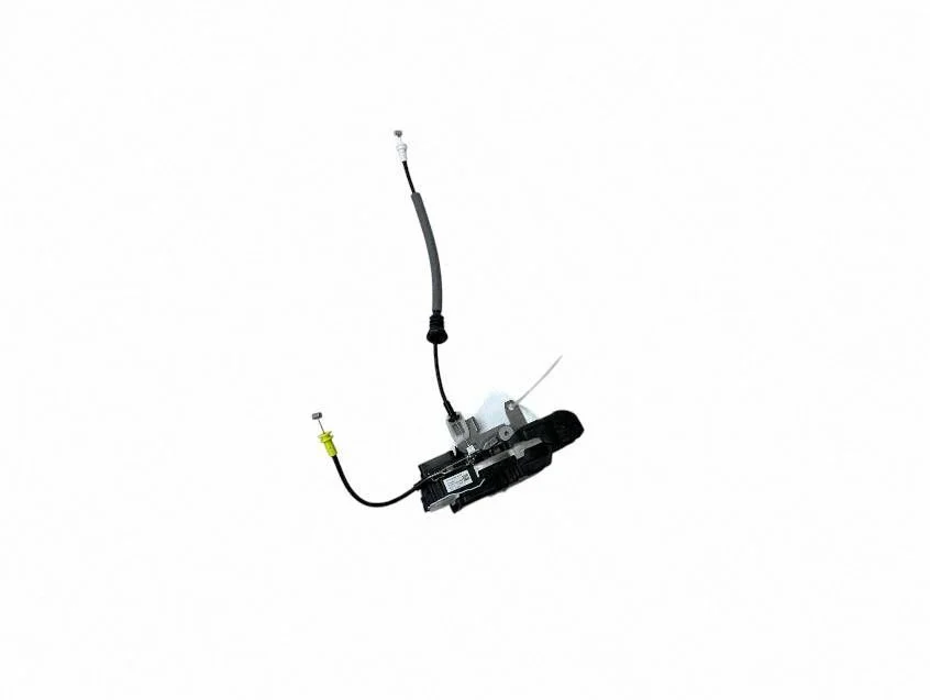 Rear door lock 31462447