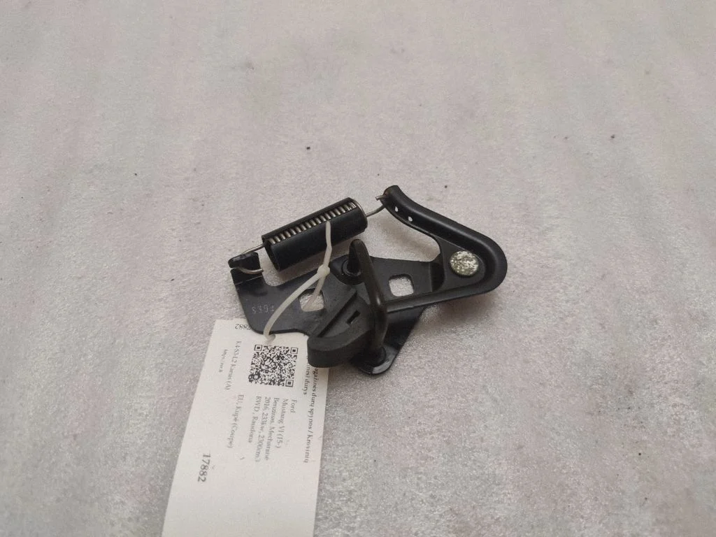 Loading door lock loop/hook striker EJ7VA6354404B12