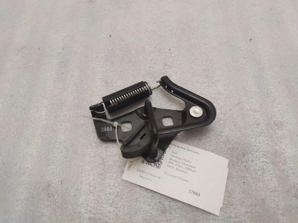 Loading door lock loop/hook striker EJ7VA6354404B12