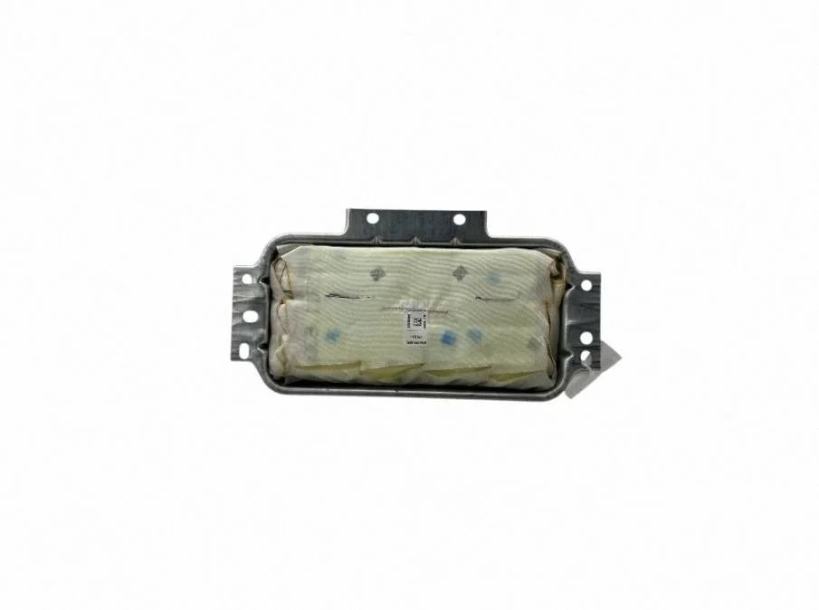 Passenger airbag 1668602402