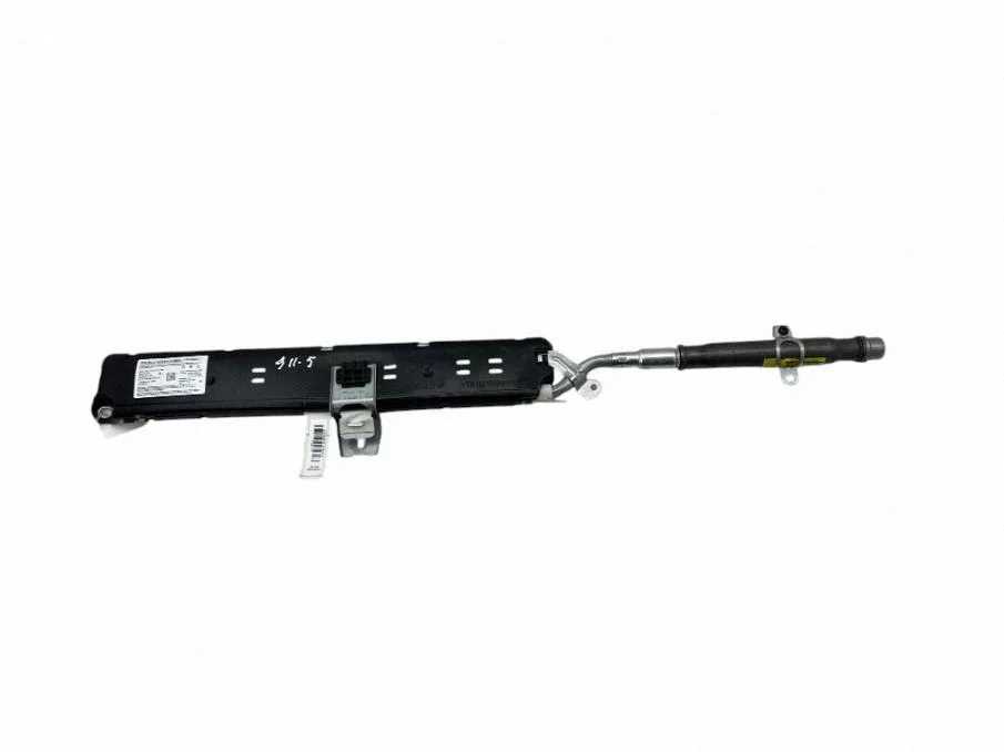 Front door airbag 99180309100