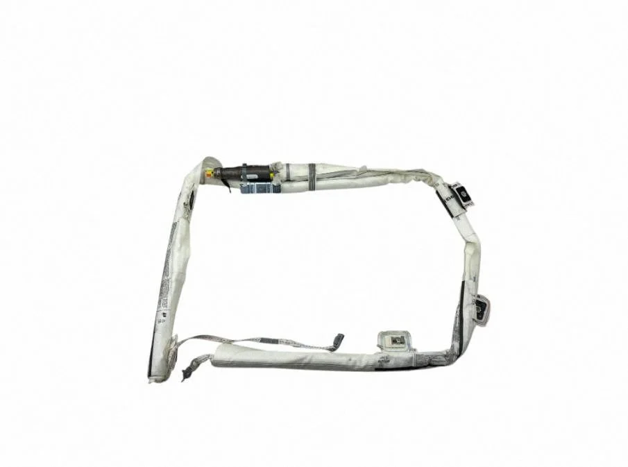 Roof airbag A1668602500