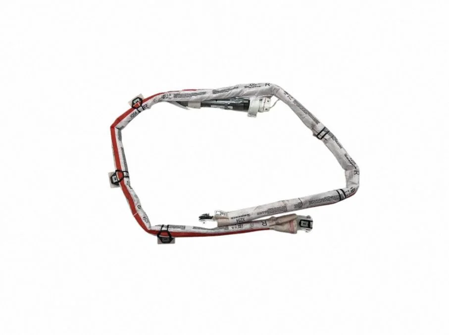Roof airbag A2548605601
