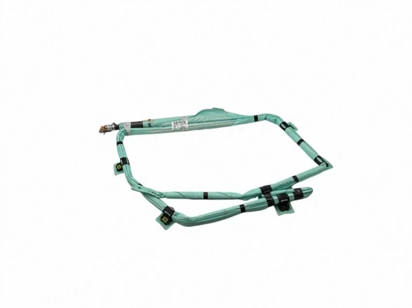 Roof airbag A2438604000