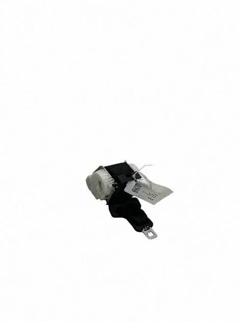 Middle seatbelt (rear) 7247667