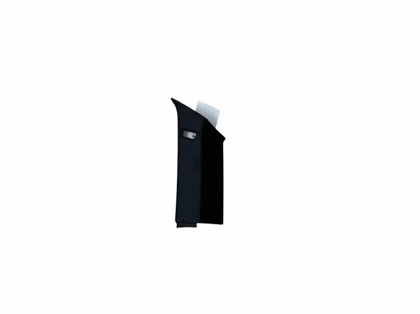 (C) pillar trim 7311220