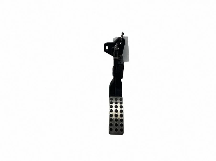 Accelerator throttle pedal A2923000100