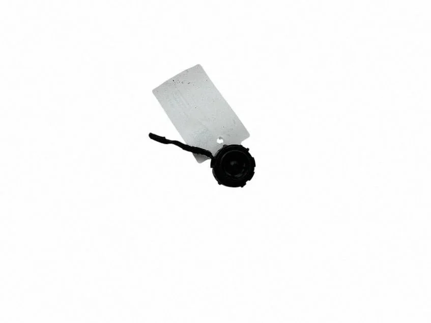 Front door speaker A2478200100