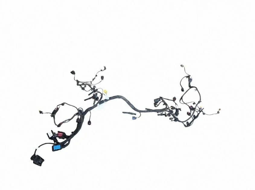 Engine installation wiring loom 059971595HL