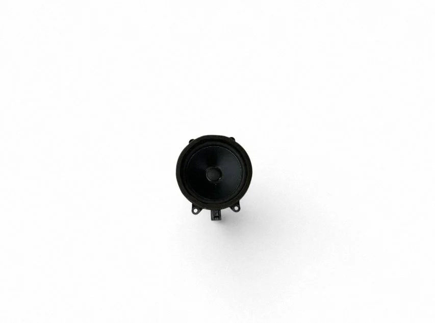 Skaļrunis (-ņi) aizmugurējās durvīs 31489043
