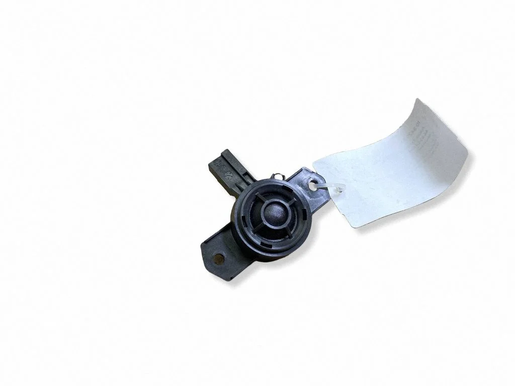 Front door high frequency speaker 31350426